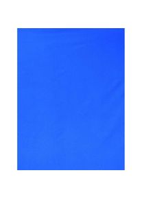 Falcon Eyes Stoffhintergrund BCP-05 2,9x5 m Chroma Blau Waschbar (290 cm, 500 cm), Hintergrundsystem, Blau