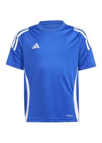 Adidas, Jungen, Sportshirt, TIRO24 JSY Y (152), Blau, 152