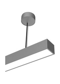 LTS, Pendelleuchte, ML-P 060.1030.14 U19WB/DALI Monoline (2230 lm)