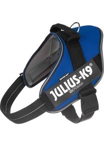 Julius K9 Julius-K9 IDC&reg; POWAIR harness Size: XL blue
