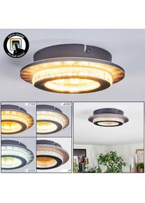 hofstein Lidor Plafoniera LED Oro, Nero, 1-Luce