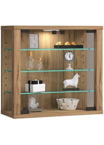 Vcm Wandregal &raquo;Wandvitrine H&auml;ngevitrine Glasvitrine Vitrosa S&laquo; 1 Stk. tlg.