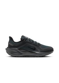 Nike Herren Pegasus 41 GTX schwarz 44.0