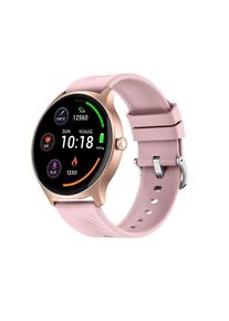 Denver SWC-387RO ROSE