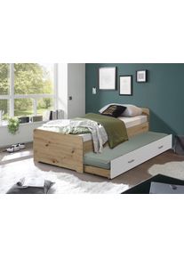 Pol-Power Lit gigogne ROM