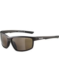 Alpina Sports	 ALPINA SPORTS, Unisex, Sportbrille, Defey (Schwarz, Braun), Grau, Schwarz