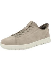 Geox Baskets basses 'U Flextride Plus A' Homme beige taille 44