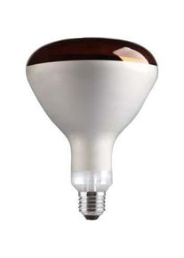 SCHARNBERGER+HASENBEIN, Infrarotlampe, Infrarot-W&auml;rmestrahler (250 W)