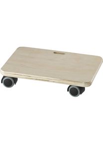 D&Ouml;RNER+HELMER D&ouml;rner + Helmer, Transportwagen, Transporthilfe (80 kg)