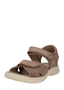 Panama Jack Sandały 'Sanders C22' dla mężczyzn ciemnoszary Rozmiar 40