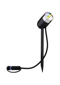 Paulmann, Gartenbeleuchtung, Plug & Shine Pike (IP65)