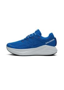 Salomon Aero Glide 3 Herren