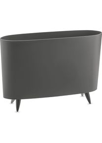 Koziol, Zeitungsst&auml;nder, Milano (12 x 46 x 31.5 cm)