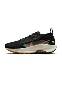 Nike Pegasus Trail 5 GTX Femme
