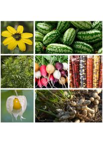 Manufactum Saatgut Gem&uuml;se und Blumen f&uuml;r Kinder