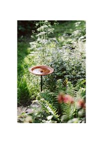 Karl Louis Lehmann Vogeltr&auml;nke auf Stab