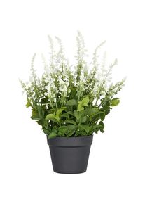 Creativ green Kunstpflanze &raquo;Salvia superba&laquo; in UV-best&auml;ndiger Ausf&uuml;hrung