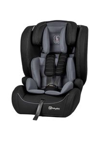 BABYGO Autokindersitz &raquo;Freemove Isize&laquo;
