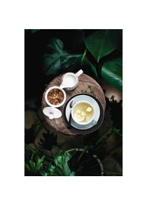 Seltmann Weiden Zuckerstreuer &raquo;Zuckerdose Life Fashion 260 ml&laquo;