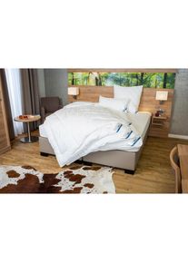 Beco Microfaserkissen &raquo;Royal Soft "GOLD", Kissen mit separaten Innenkissen!&laquo; F&uuml;llung: Microfaser Bezug: Microfaser 1 Stk. tlg. Microfaserkopfkissen, 