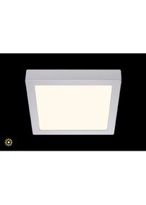 Briloner Leuchten Aufbauleuchte &raquo;FIRE&laquo;