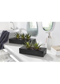 Creativ green Kunstkaktus