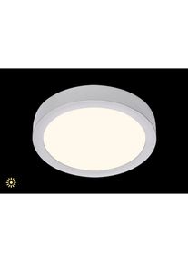 Briloner Leuchten Aufbauleuchte &raquo;FIRE&laquo;