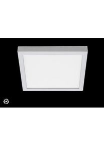 Briloner Leuchten Aufbauleuchte &raquo;FIRE&laquo;