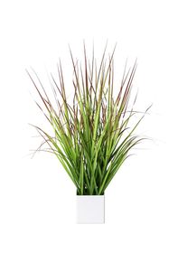 Creativ green Kunstgras &raquo;Blutgras&laquo; im wei&szlig;en Kunststofftopf