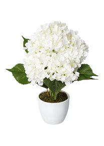 Creativ green Kunstpflanze &raquo;Hortensie&laquo; im Keramiktopf