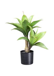 Creativ green Kunstpflanze &raquo;Agave&laquo; mit 2 St&auml;mmen