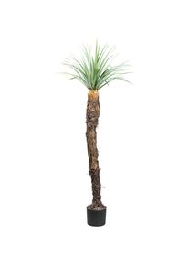 Creativ green Kunstpflanze &raquo;Yucca Rostrata&laquo; mit au&szlig;ergew&ouml;hnlichem Stamm