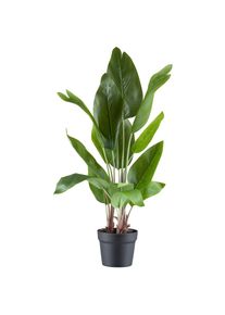 Creativ green Kunstpflanze &raquo;Strelitzia nicolai&laquo; in sch&ouml;ner Gr&ouml;&szlig;e