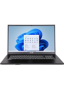 Wortmann TERRA MOBILE 1716R i5-1334U W11 - Notebook - Core i5 (17.30", 500 GB, 16 GB, Deutschland, Intel Core i5-1334U), Notebook, Grau