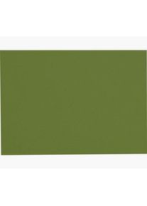 PROnappe, Tischset, 100 Platzsets gr&uuml;n 30,0 x 40,0 cm (1 Stk.)