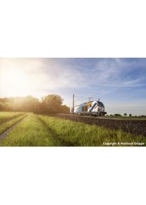 Piko Diesel-/E-Lok BR 248 Northrail Ep VI + PluX22 Dec. ACS (Spur H0)