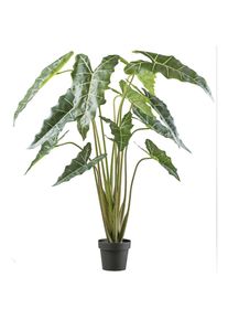 Creativ green Kunstpflanze &raquo;Alocasia zebrina sarian&laquo; mit gestreiftem Stamm