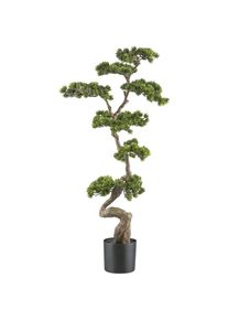 Pianta artificiale bonsai di pino - kaiserkraft