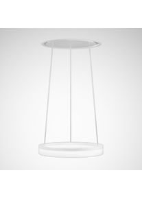 Trilux, Pendelleuchte, 6443800