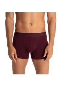 Bruno Banani, Herren, Boxer &raquo;Flowing&laquo; 2er Pack, mit kontrastreichem Logobund, WINE/BLACK, S, WINE/BLACK, Herrenshort von Bruno Banani
