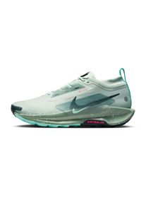 Nike Pegasus Trail 5 GTX Homme