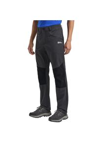 Jack Wolfskin Trekkinghose &raquo;HIKING ALPINE PANTS M&laquo; grau, Gr&ouml;&szlig;e 46