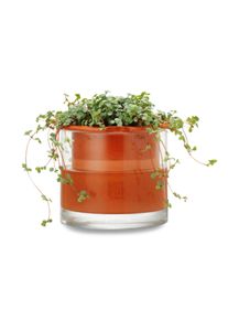Natte Pot Systemen Planter