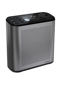 Sharp Digitalradio (DAB+) &raquo;DR-P530(GY)&laquo; (Bluetooth Digitalradio (DAB+) UKW mit RDS )