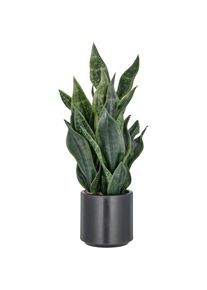 Creativ green Kunstpflanze &raquo;Sanseveria Grey Stripe&laquo; im eleganten Pflanzgef&auml;&szlig;