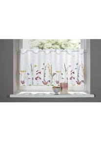 Home Affaire Scheibengardine &raquo;Bille&laquo; Durchzugl&ouml;cher 1 Stk. tlg. transparent, mit einseitiger Stickerei, waschbar, Blumen