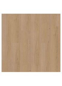 PARADOR vinyle Classic 2030 ch&ecirc;ne Studioline naturel, 1 pack &agrave; prix bas