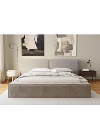 Boxxx Polsterbett , Hellgrau , Holz, Metall , Birke , 180x200 cm , Bettkasten, gepolstertes Kopfteil, in verschiedenen Gr&ouml;&szlig;en erh&auml;ltlich , Schlafzimmer, Betten, Polsterbetten