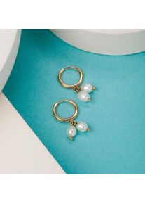 Holzkern Earrings Women Gold and Pearl