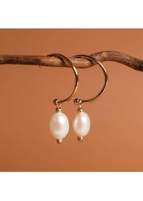 Holzkern Earrings Women Gold and White Pearl